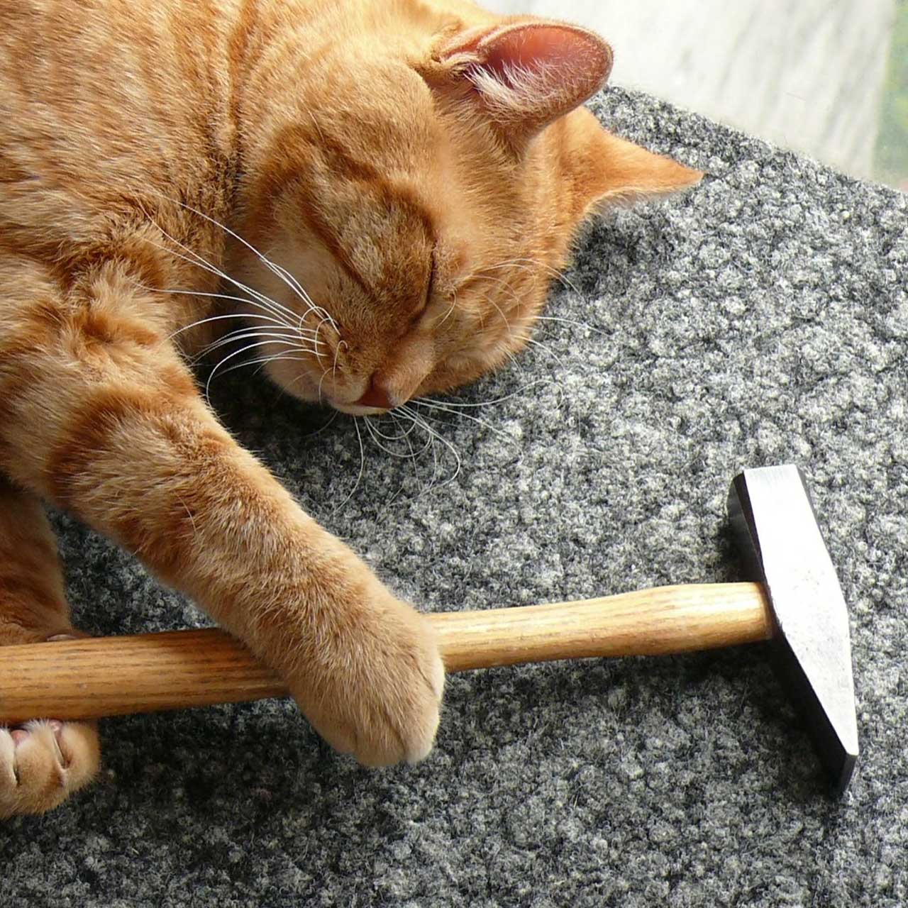 Login Full Background